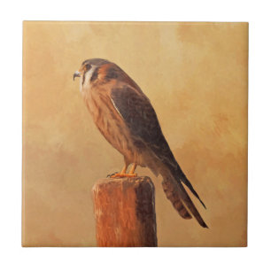 American Kestrel Painting - Original Bird Art Ceramic Tile