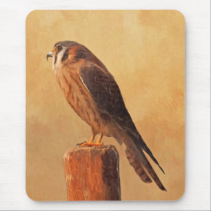 American Kestrel Painting - Original Bird Art Mouse Pad