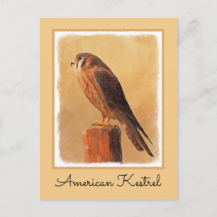 American Kestrel Painting - Original Bird Art Postcard