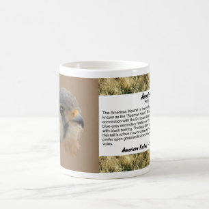 American Kestrel Portrait Coffee Mug