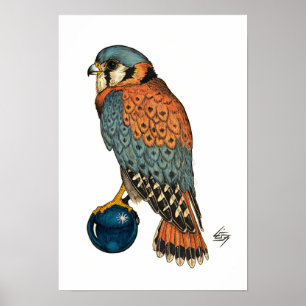American Kestrel Poster