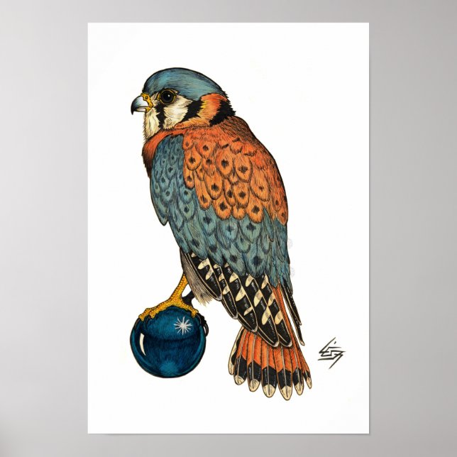 American Kestrel Poster (Front)