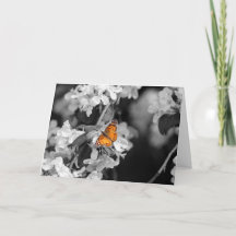 American Lady Butterfly Folded Greeting Card