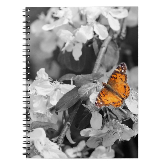 American Lady Butterfly Spiral Notebook (Front)