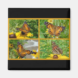 American Lady Butterfly - Vanessa virginiensis Magnet