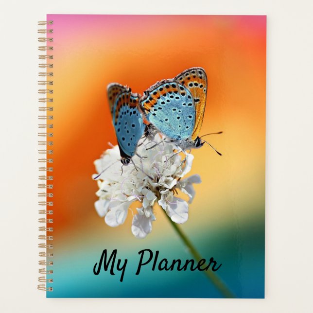 American Lady Planner (Front)