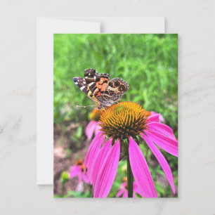 American Lady Postcard