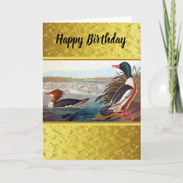 American mallard ducks in a lake swimming card (Front)
