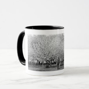 American Man in Orchard Real Photo Coffee Mug