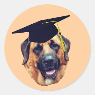 American  Mastiff Dog Graduation Cap Classic Round Sticker