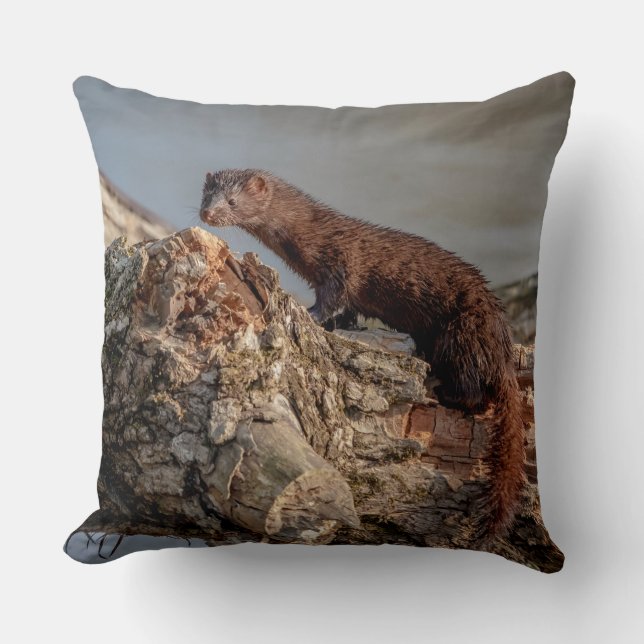 American Mink Cushion (Front)