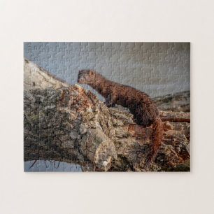 American Mink Jigsaw Puzzle