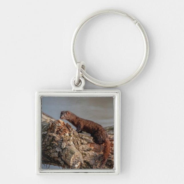 American Mink Key Ring (Front)