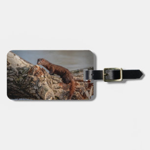 American Mink Luggage Tag