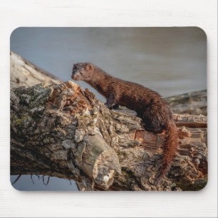 American Mink Mouse Pad