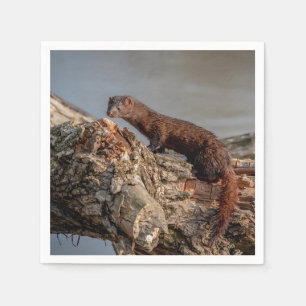 American Mink Napkin