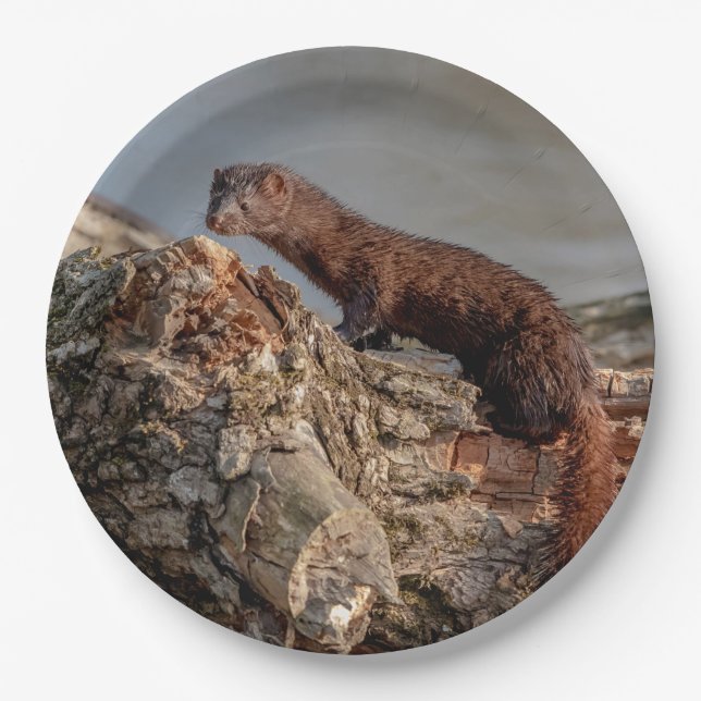 American Mink Paper Plate (Front)