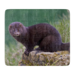 American Mink Rectangular Cutting Board