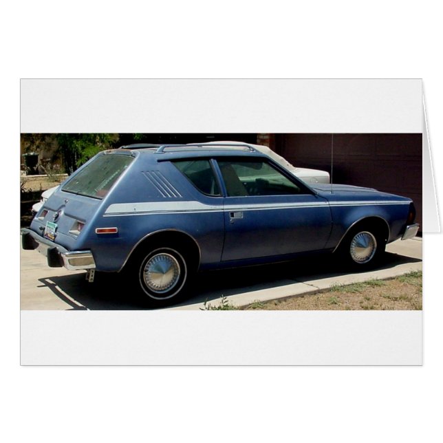 AMERICAN MOTORS JAVELIN AND GRAMLIN AND CACTI (Front Horizontal)