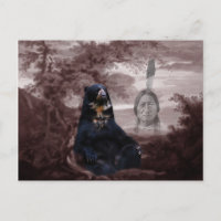 American Native Indian black bear