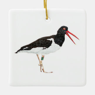 American Oystercatcher Ceramic Ornament