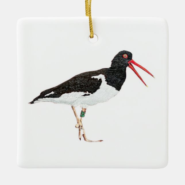 American Oystercatcher Ceramic Ornament (Front)