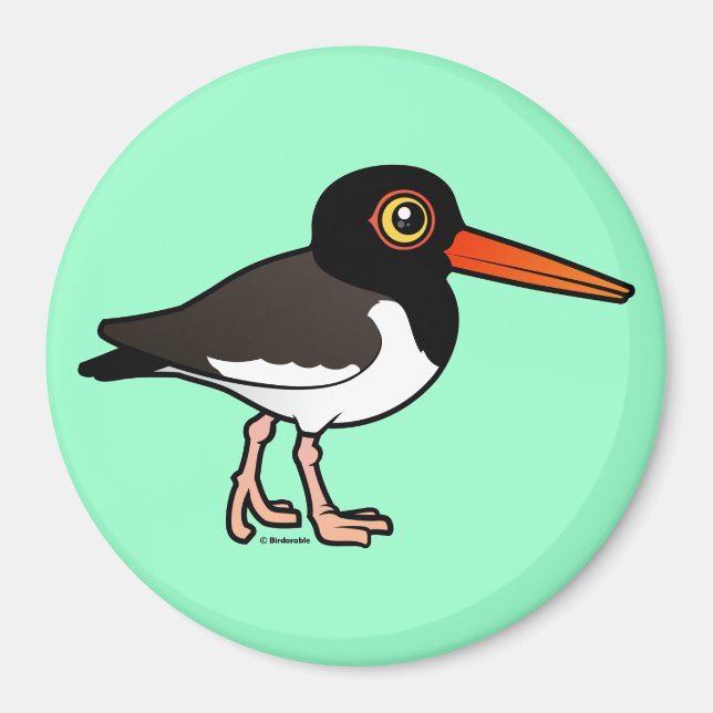 American Oystercatcher Magnet (Front)