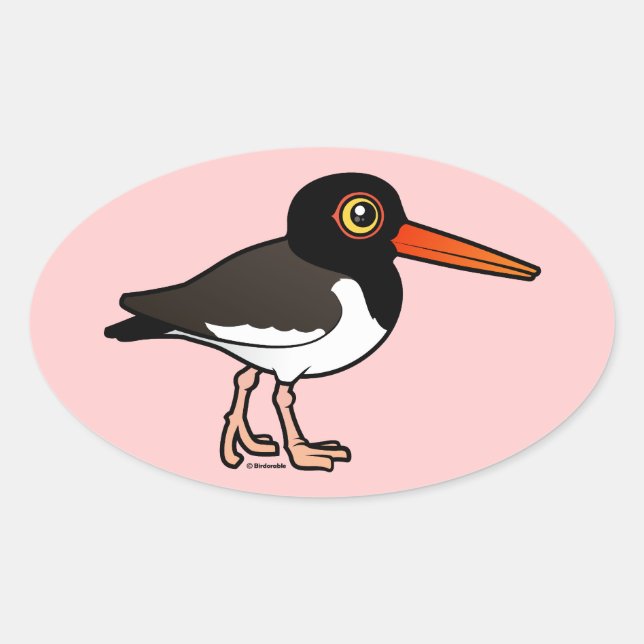 American Oystercatcher Oval Sticker (Front)