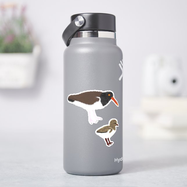 American Oystercatcher with Chick (HydroFlask)