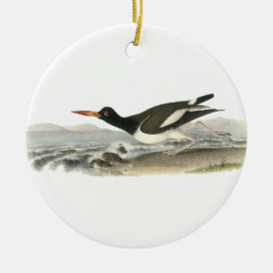 American Oystercatches, John Audubon Ceramic Tree Decoration