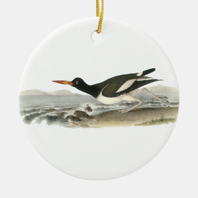 American Oystercatches, John Audubon Ceramic Tree Decoration (Front)