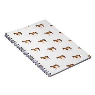 American Paint Horse Equestrian Watercolor Notebook