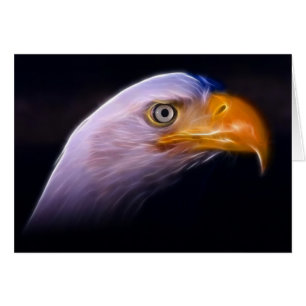 American Patriotic Bald Eagle, National Symbol