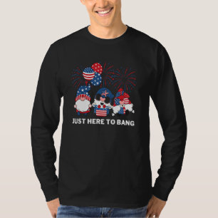 American Patriotic Gnomes Just Here To Bang Firewo T-Shirt