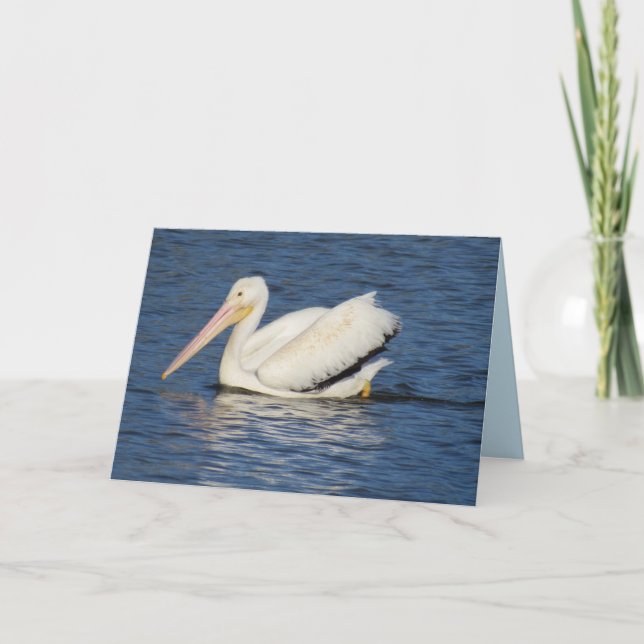 American Pelican Greeting Card (Front)