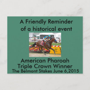 American Pharaoh Triple Crown Winner Postcard