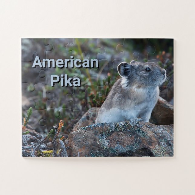 American Pika Hidden in Rocks Jigsaw Puzzle (Horizontal)