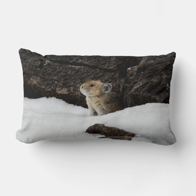 American Pike in Snowbank Lumbar Cushion (Front)