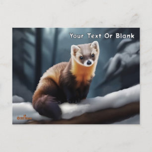 American Pine Marten Postcard
