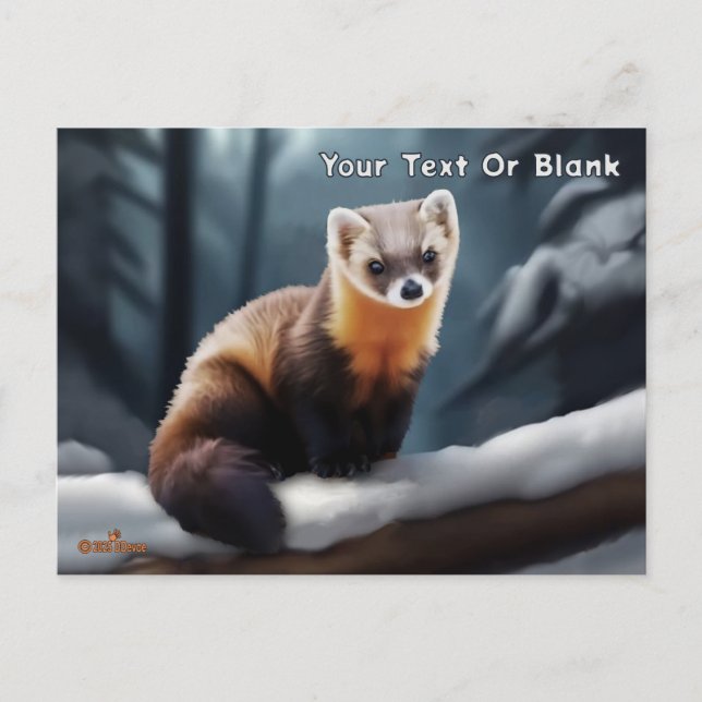 American Pine Marten Postcard (Front)