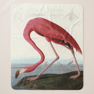 American Pink Flamingo Gift Lover Sketch Flamingo Sherpa Blanket