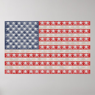 American Pirate Flag Poster