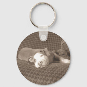 American_Pit_Bull_Terrier_and_teddy_bear_on_couch. Key Ring