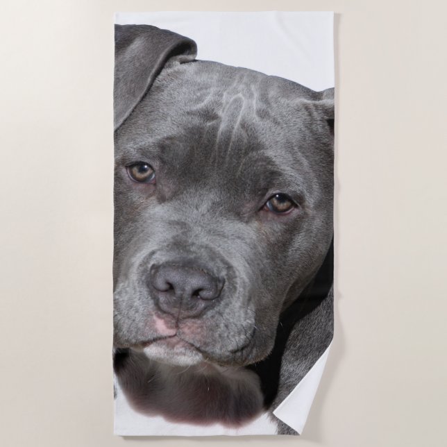 American Pit Bull Terrier Beach Towel (Front)