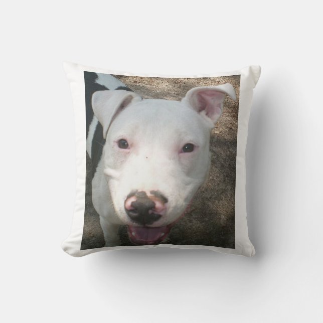 american pit bull terrier cushion (Front)