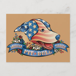 American Pit Bull Terrier Postcard