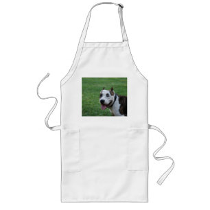 american pit bull terrier smiling long apron
