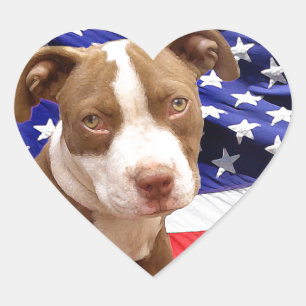 American Pitbull puppy Heart Sticker