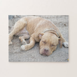 American Pitbull Terrier Dog Jigsaw Puzzle