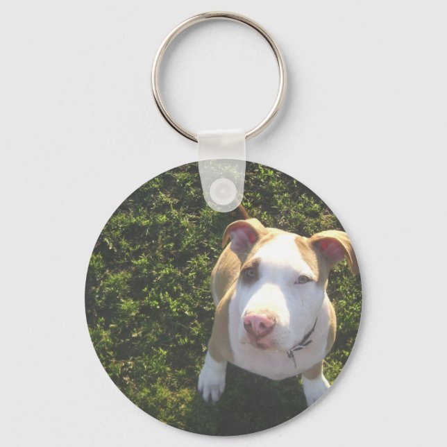 american PitBull terrier Looking Up Key Ring (Front)